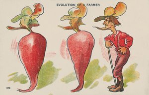 Evolución de un agricultor (litografía en color) de English School