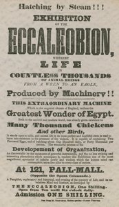 Exposición del Eccaleobion de English School