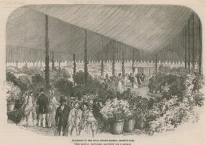 Exposición de la Sociedad Real de Botánica de English School