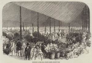 Exposición de la Real Sociedad Botánica, Regent