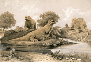 Animales extintos de English School