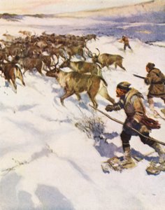 Factor John McLean acorralando una manada de caribúes en Labrador para la Hudson