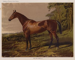 Bella Nell de English School
