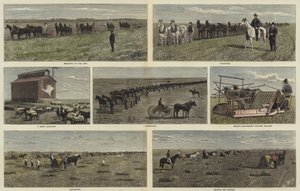 Agricultura en las llanuras de América del Norte