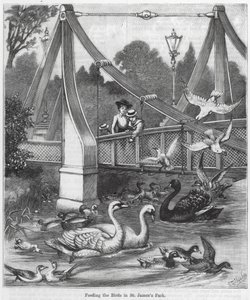 Alimentando a los pájaros en St James