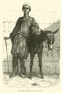 Fellah, árabe; niño con burro de English School