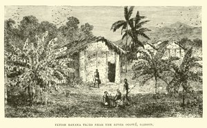 Árboles de plátano fetiche cerca del río Ogowe, Gabón de English School