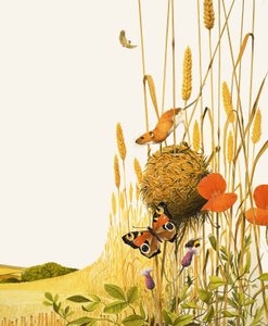 Ratón de campo y mariposa