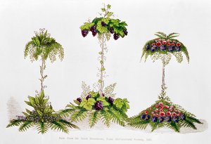 Primer premio por decoración de mesa, Royal Horticultural Society, 1851 de English School
