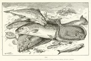 Pescado