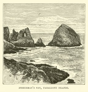 Bahía de los Pescadores, Islas Farallón
