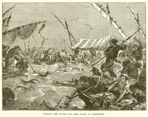 Pesca de atún en la costa de Provenza