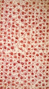 Papel de guarda floral grabado a mano de English School