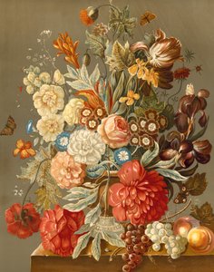 Exhibición floral