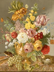 Exhibición floral