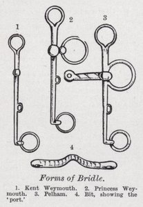 Formas de brida