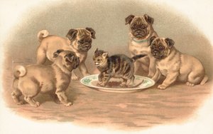 Cuatro perros pug sentados alrededor de un gatito en un plato de English School