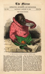 Portada de The Mirror del 13 de enero de 1838 celebrando la llegada de un orangután a los Jardines de la Sociedad Zoológica en Regent