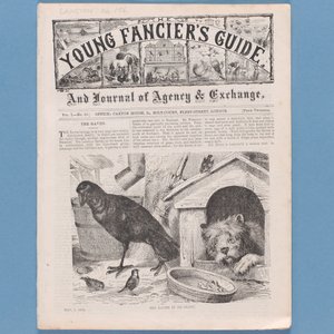 Frontispicio de La Guía del Joven Aficionado, 1874 de English School