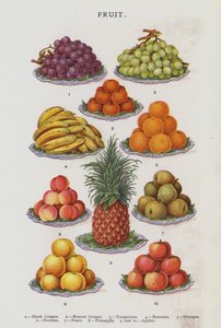 Fruta (cromolito) de English School