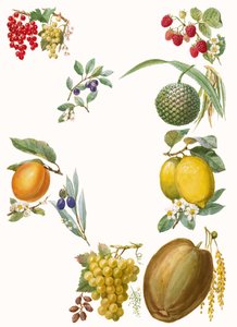 Frutas