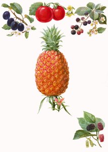 Frutas