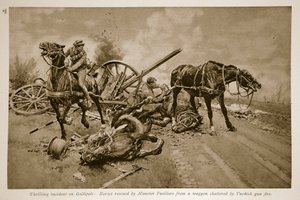 Gallipoli: Caballos rescatados por los Fusileros de Munster de un carro destrozado por el fuego turco, 1914-19