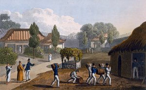 Jardín del Templo de Lewchew, 1820 de English School