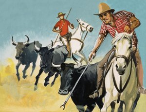 Gardianos de la Camarga