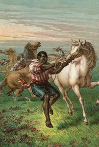 Los soldados de Garibaldi domando caballos salvajes de English School