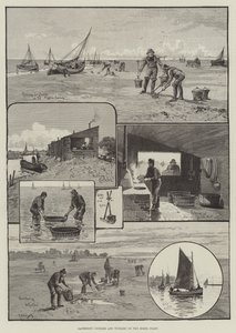 Recolección de berberechos y bígaros en la costa de Essex de English School