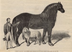 General Washington, el caballo mamut de English School