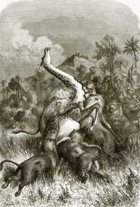 Jirafa y leones de English School