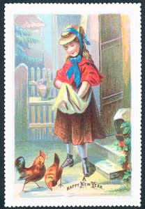 Niña alimentando gallinas de English School