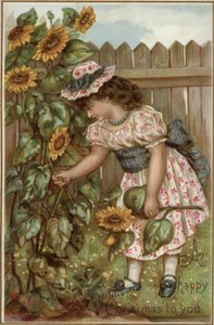 Niña recogiendo girasoles en un jardín de English School