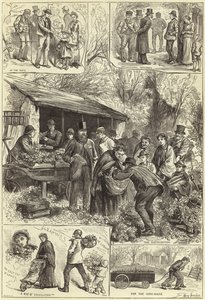 Reparto de plantas a los pobres de Londres en Victoria Park de English School