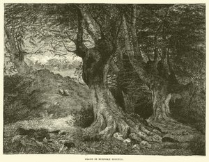Glade in Burnham Beeches (grabado) de English School