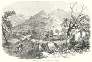 Gold-Fields of Mount Alexander, Australia (grabado) de English School