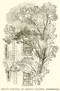 Ventana de Gray, Colegio de San Pedro, Cambridge de English School