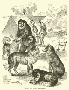 Trineo de perros esquimales de Groenlandia