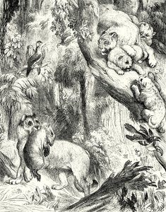 Grupo de Pumas (grabado)