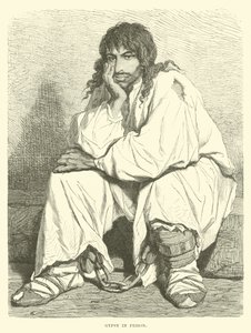 Gitano en prisión