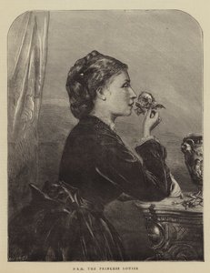 SAR la Princesa Louise (grabado)