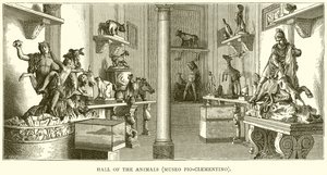 Sala de los Animales (Museo Pio-Clementino) de English School