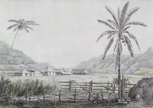 Halse Hall, Jamaica, c.1780 de English School