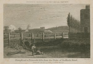 Hampstead y Primrose Hills, desde la carretera del Duque de Bedford