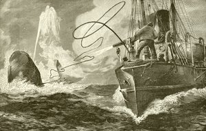 Arponeando una ballena desde un vapor de English School