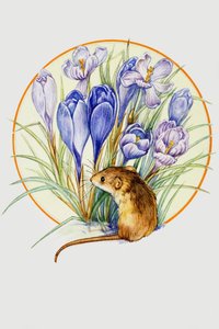 Ratón de Cosecha y Azafrán