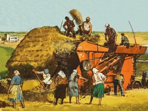 Cosecha de trigo