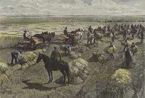 Cosechando trigo en las llanuras de América del Norte de English School